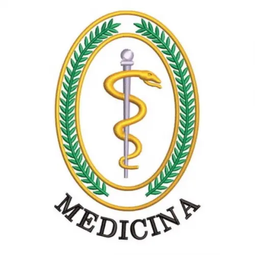Matriz Bordado Medicina