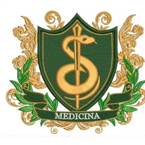 Matriz Bordado Medicina