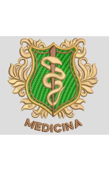 Matriz Bordado Medicina