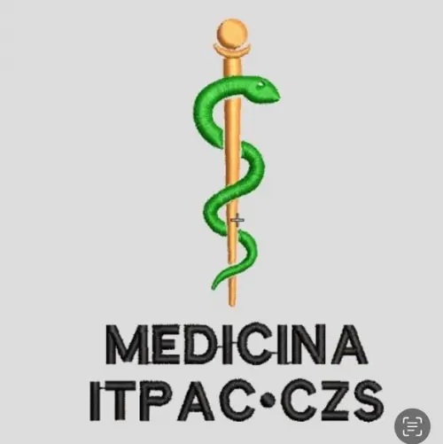 Matriz Bordado Medicina Itpac