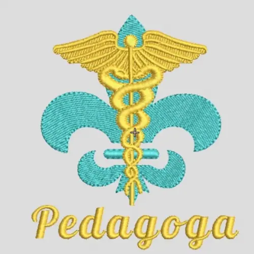 Matriz Bordado Pedagoga