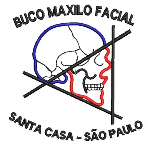 Matriz Bordado Santa Casa São Paulo