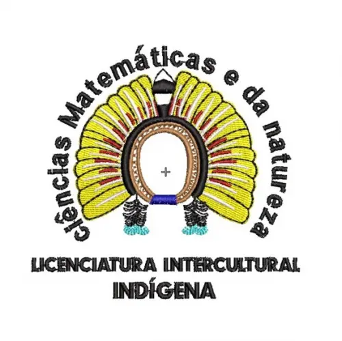 Matriz de Bordado Licenciatura Intercultural Indígena