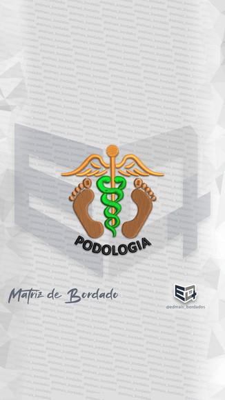 Matriz de Bordado Podologia 3