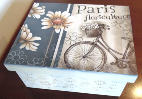 Caixa Bicicleta Paris N° 321