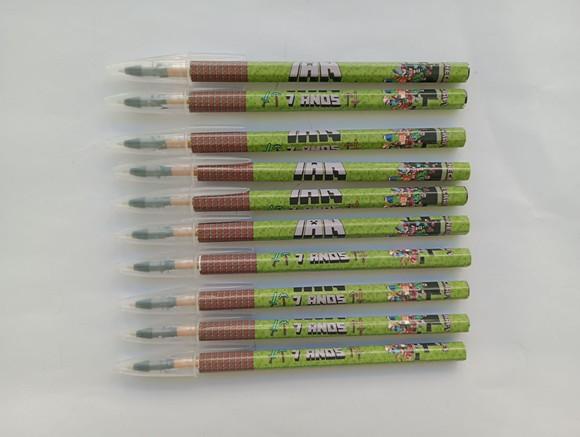 Caneta Personalizada Minecraft