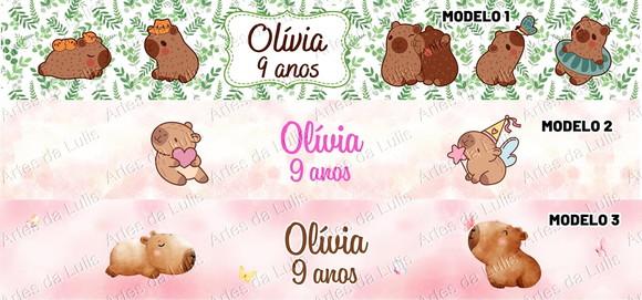 Kit Lápis com Borracha Capivara