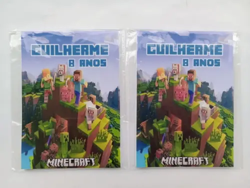 Bloquinho Minecraft