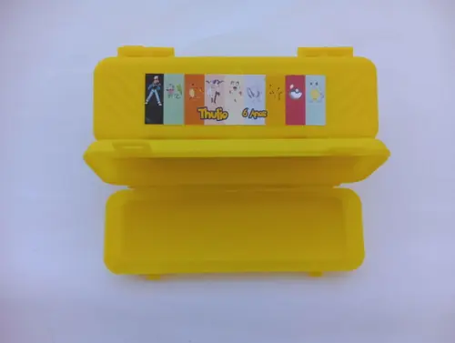 Estojo Pokemon Personalizado