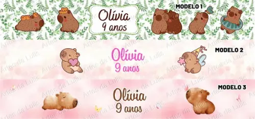 Kit Lápis com Borracha Capivara