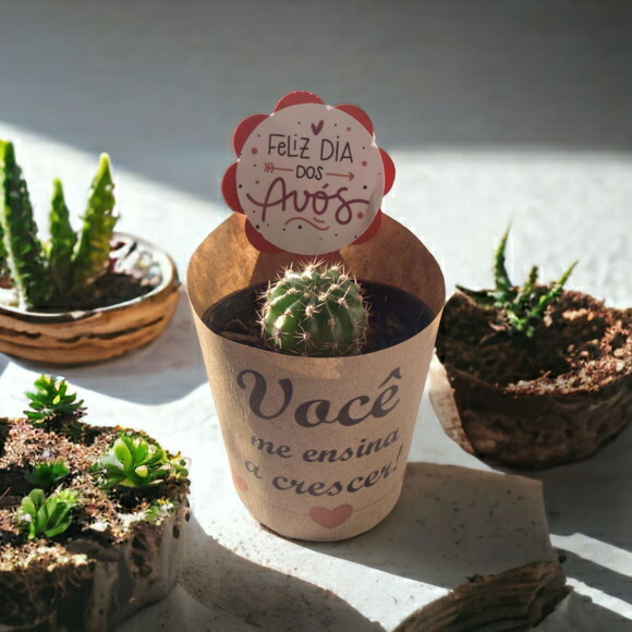 Kit 15 Rótulos + 15 Tags para Mini Suculentas - Dia dos Avós