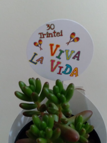 Kit 50 Tags Já Coladas no Palito