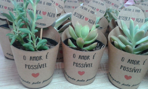 Kit com 100 Rótulos para Mini Suculentas