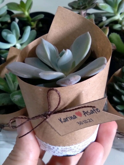 Lembrancinha Suculenta com Renda