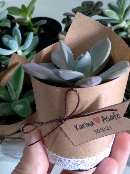 Lembrancinha Suculenta com Renda