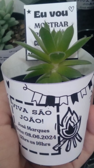 Lembrancinha Viva- Suculenta- Tema Festa Junina