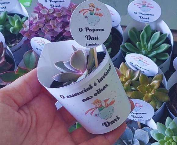Mini Suculenta no Rótulo com Tag Personalizada