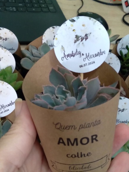 Mini Suculenta no Rótulo com Tag Personalizada