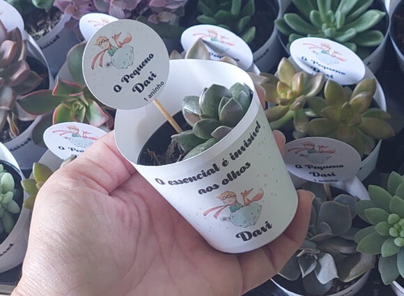 Mini Suculenta no Rótulo com Tag Personalizada