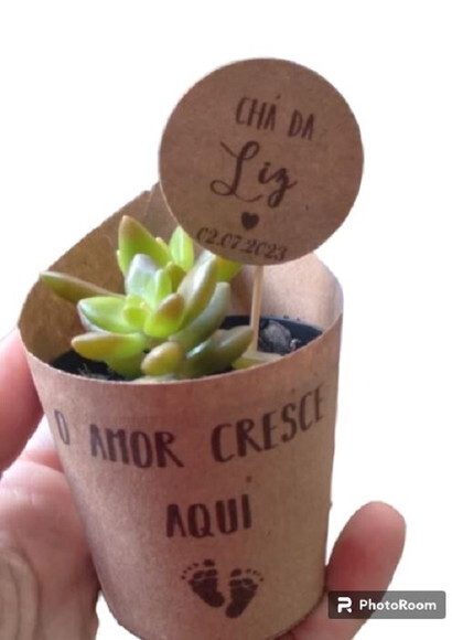 Mini Suculenta no Rótulo Kraft-chá de Bebê