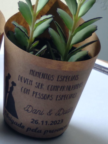 Mini Suculenta no Rótulo Kraft - Casamento