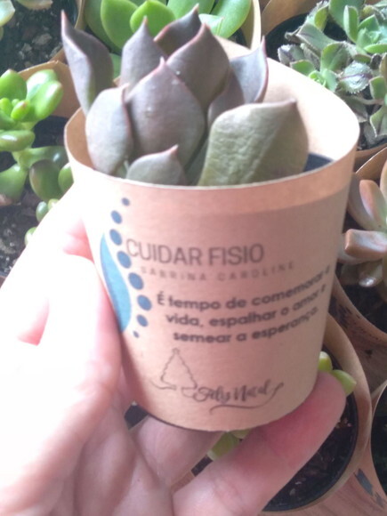 Mini Suculenta no Rótulo Kraft- Lembrança Corporativa