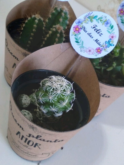 Mini-cactos no Rótulo Kraft