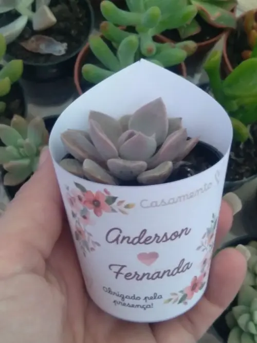Lembrancinha Suculenta - Rótulo Floral Casamento