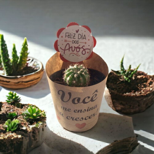 Kit 15 Rótulos + 15 Tags para Mini Suculentas - Dia dos Avós