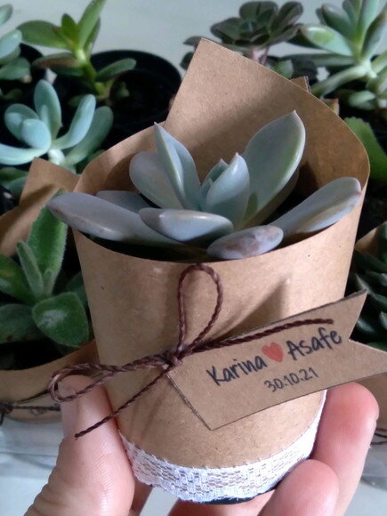 Lembrancinha Suculenta com Renda