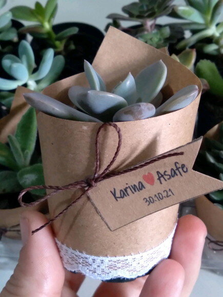 Lembrancinha Suculenta com Renda