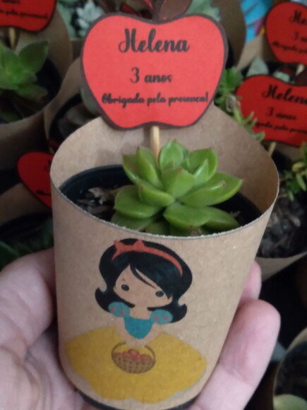 Lembrancinha Suculenta no Rótulo - Branca de Neve