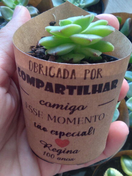 Lembrancinha Suculenta- Aniversário