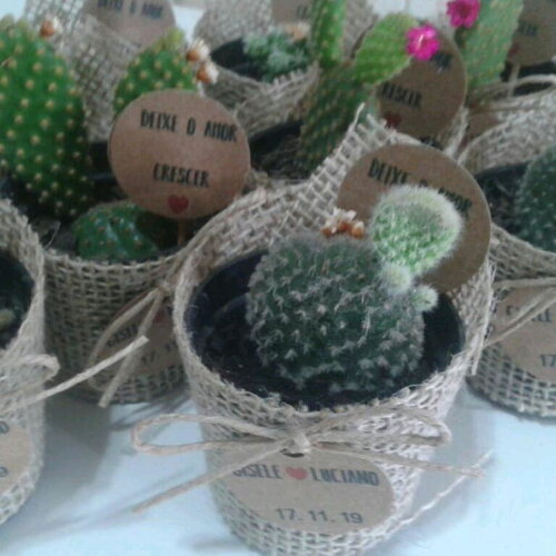 Lembrancinha Viva- Mini Cacto