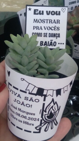 Lembrancinha Viva- Suculenta- Tema Festa Junina