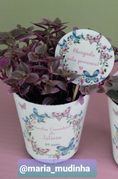 Lembrancinha Viva- Suculenta- Tema Jardim de Borboletas