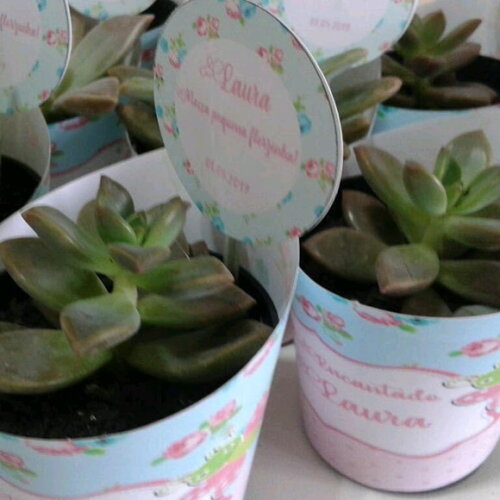 Lembrancinha Viva- Suculenta- Tema Jardim Encantado