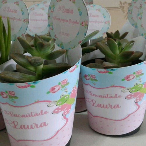Lembrancinha Viva- Suculenta- Tema Jardim Encantado