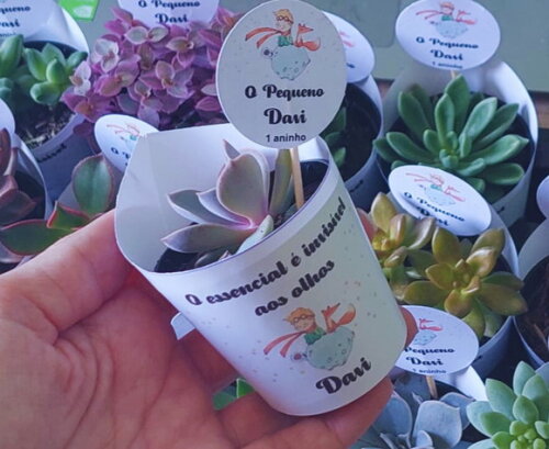 Mini Suculenta no Rótulo com Tag Personalizada