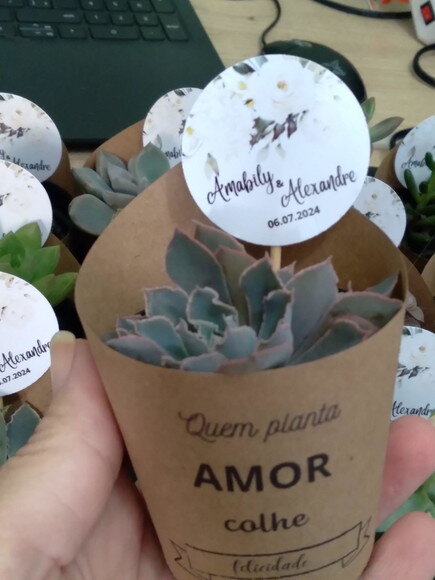 Mini Suculenta no Rótulo com Tag Personalizada