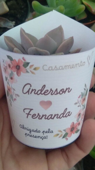 Mini Suculenta no Rótulo Branco- Casamento