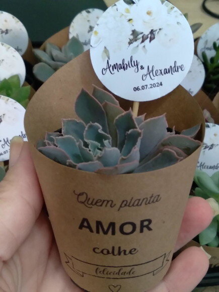 Mini Suculenta no Rótulo com Tag Personalizada
