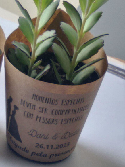 Mini Suculenta no Rótulo Kraft - Casamento