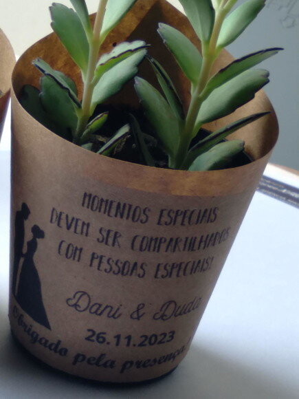 Mini Suculenta no Rótulo Kraft - Casamento