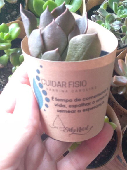 Mini Suculenta no Rótulo Kraft- Lembrança Corporativa