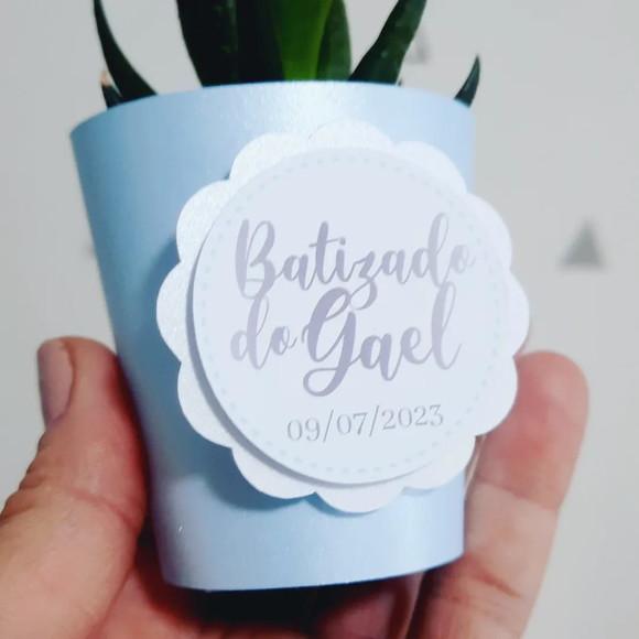 10 Saias 3D para Suculenta Mini Batizado (não Acomp. Planta)