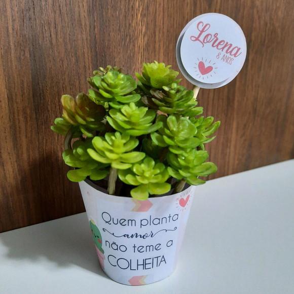 10 Saias para Suculenta Mini + Topper Cactos (não Acomp. Planta)