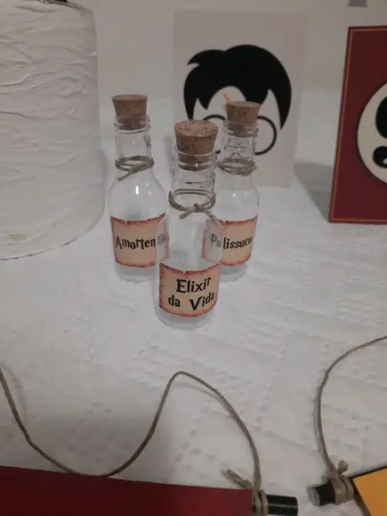 Kit Festa - Harry Potter