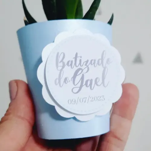 10 Saias 3D para Suculenta Mini Batizado (não Acomp. Planta)