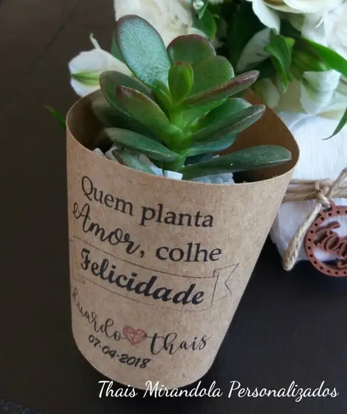 10 Saias 3D para Suculenta Mini Casamento (não Acompanha Planta)